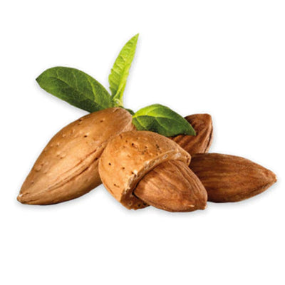 Saponificio Varesino "Almond" Scrub Hand Soap 300g