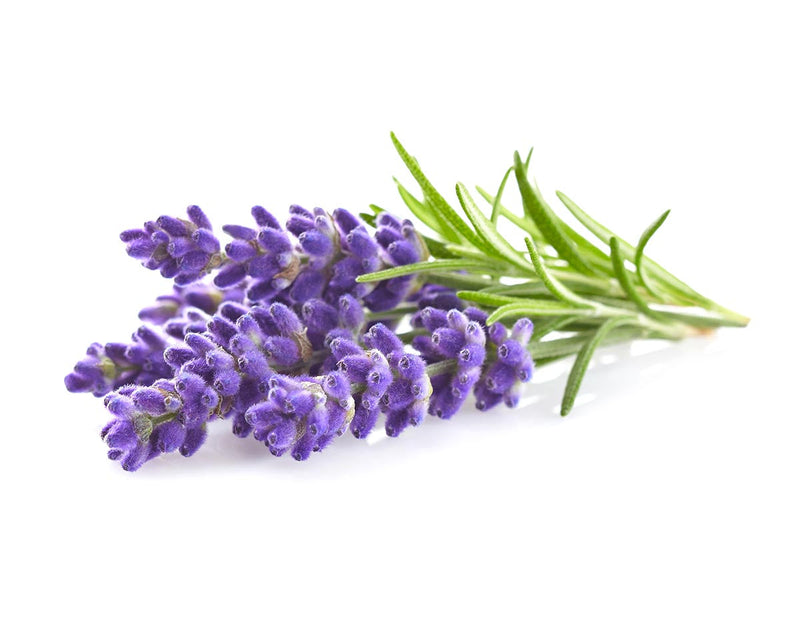 Taylor of Old Bond Street "Lavender" Handzeep 100g